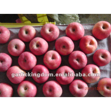 Fresh Fuji Apples(blush layer 100-113-125 20kg)
